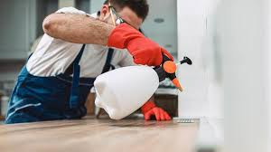 Real Estate Pest Inspections in Santa Clara, OR